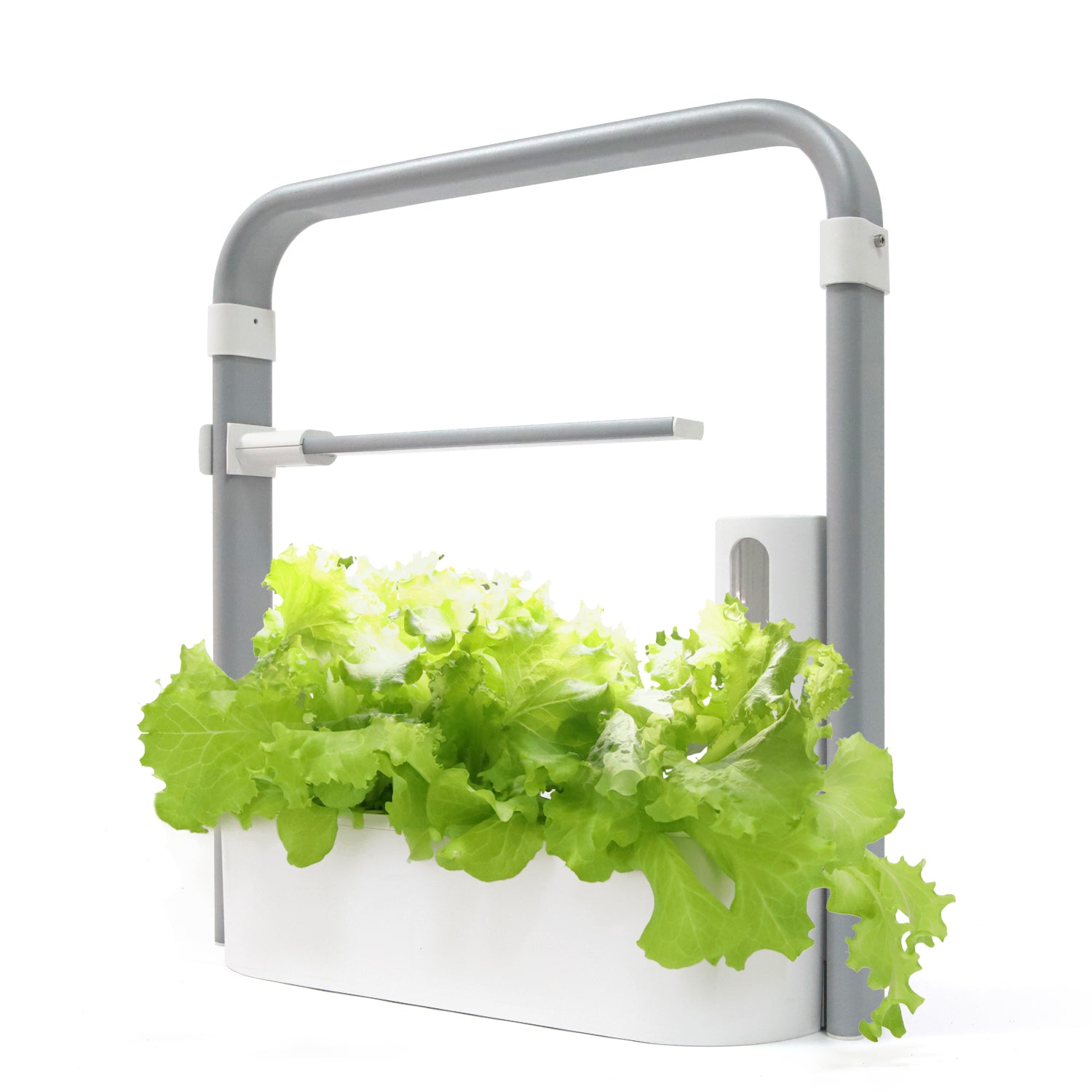 PRE-ORDER Micro-Garden