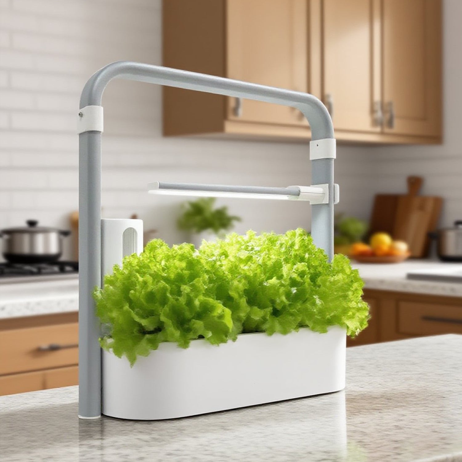 PRE-ORDER Micro-Garden