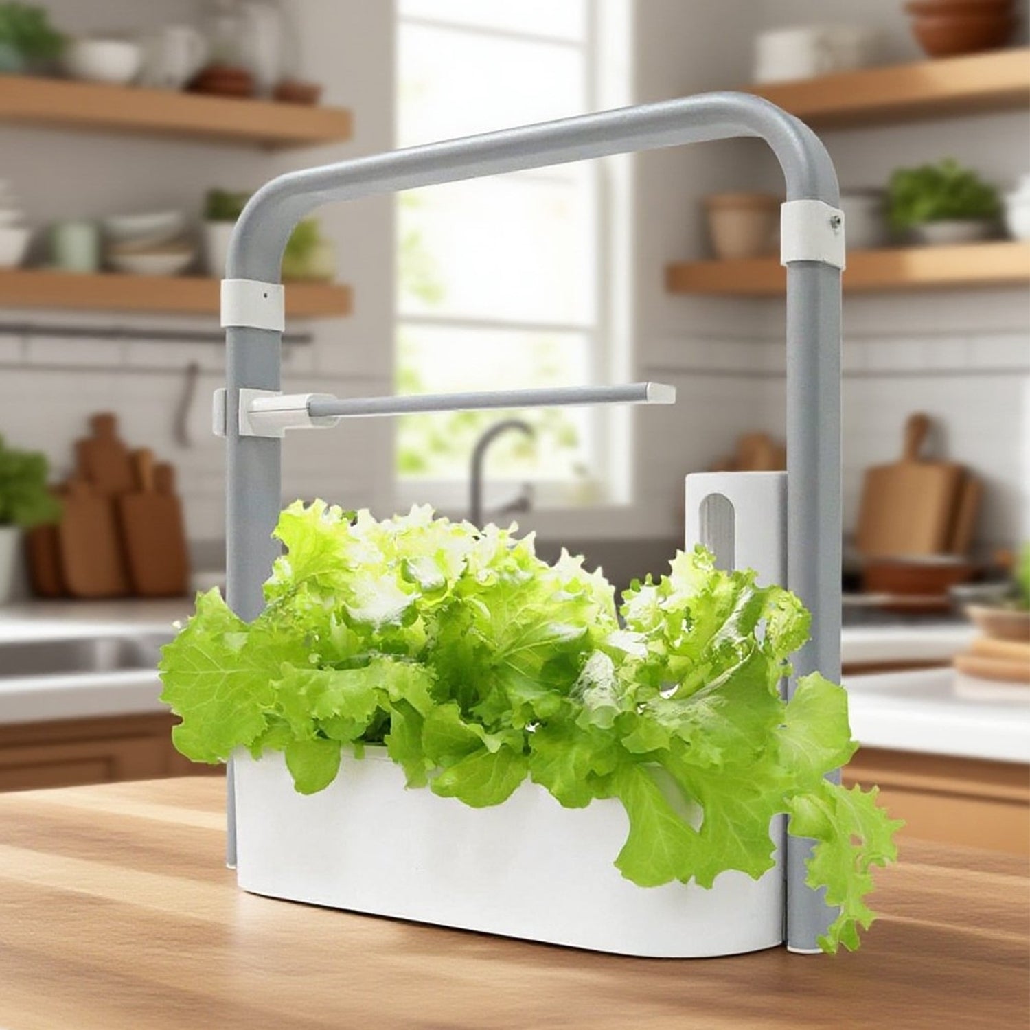 PRE-ORDER Micro-Garden